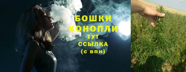 mix Касимов