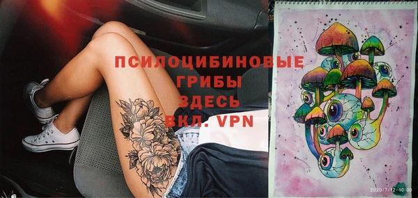 синтетический гашиш Карпинск