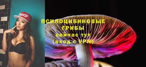 spice Карталы